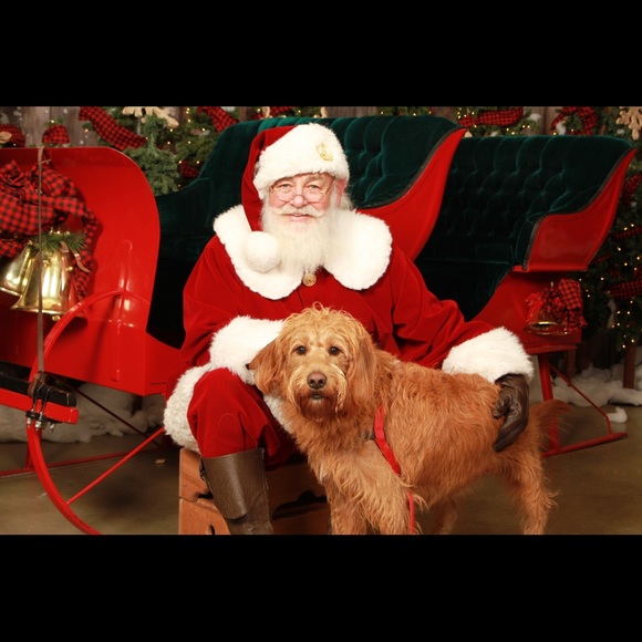 Meet your Posher, Samantha - Picture 1 of 1